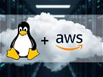 What Linux Does Aws Use?