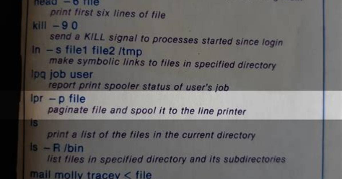 What Lpr Command Does?