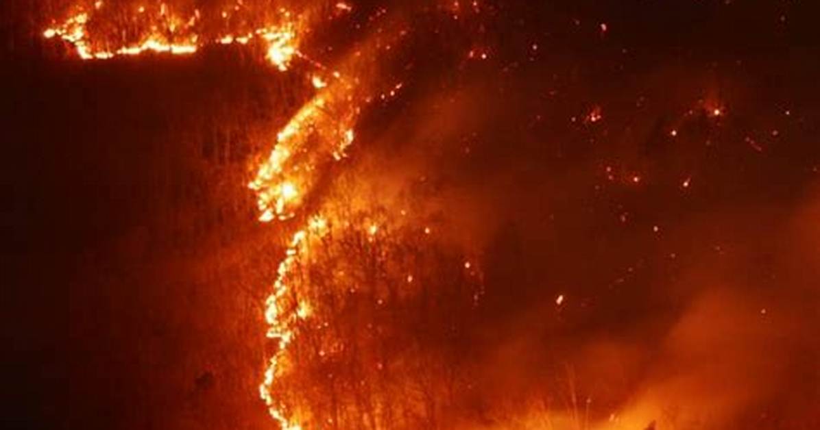What Makes a Fire Complex