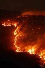 What Makes a Fire Complex