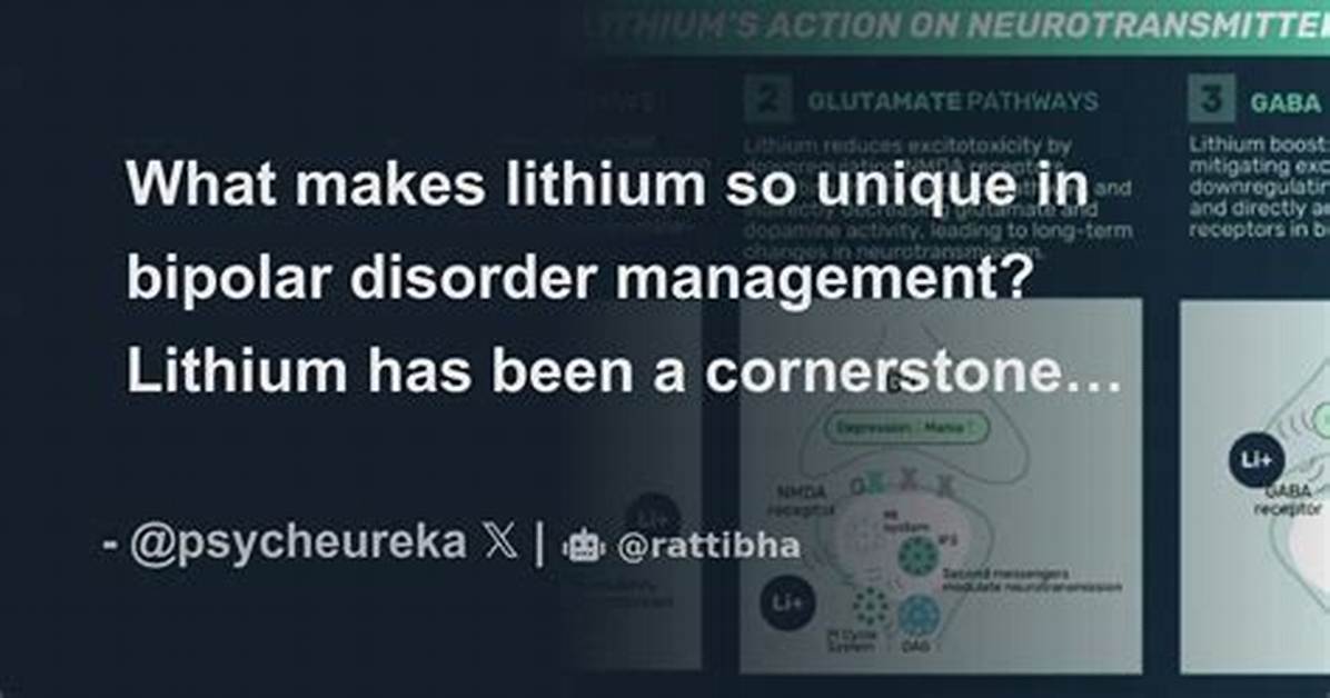 What Makes Lithium Unique? | Contextresponse. Com
