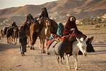 What Nomads Do