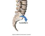 What Nutation Means