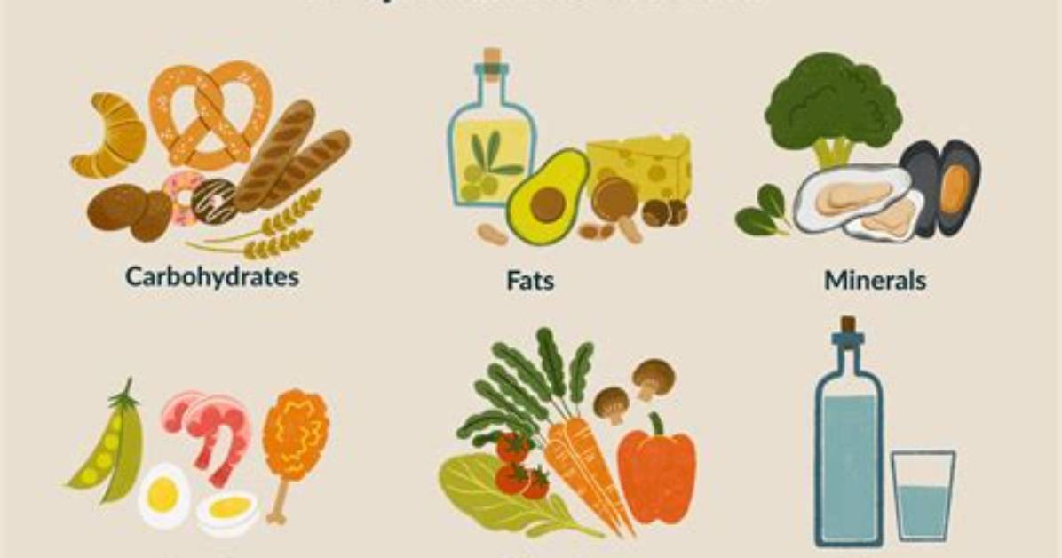 What Nutrients Do