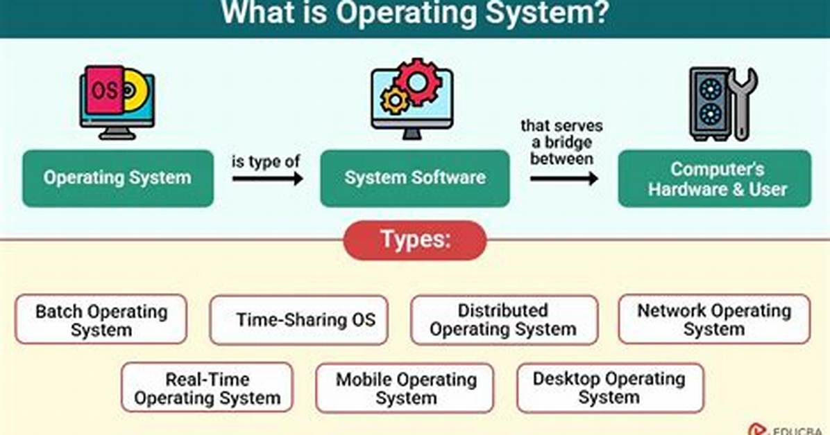 What Operating System Do Developers Use?