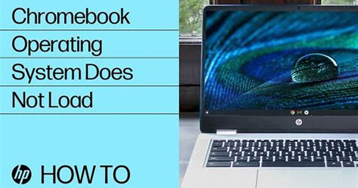 What Operating System Does Hp Use?