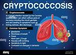 What Organs Does Cryptococcosis Affect?