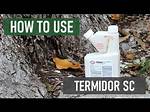 What Other Bugs Does Termidor Kill