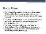 What Phallic Phase Mean?