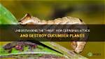 What Plants Do Cutworms Attack?