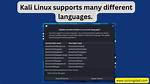 What Programming Language Is Kali Linux Written in?