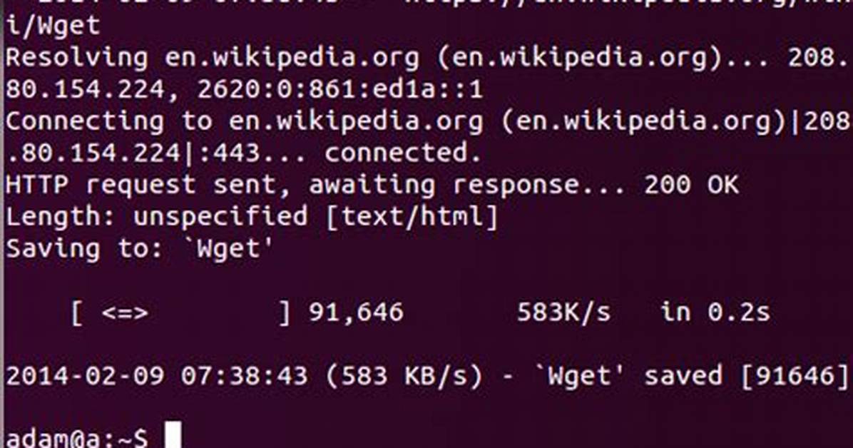 What Protocol Does Wget Use