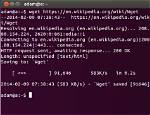 What Protocol Does Wget Use