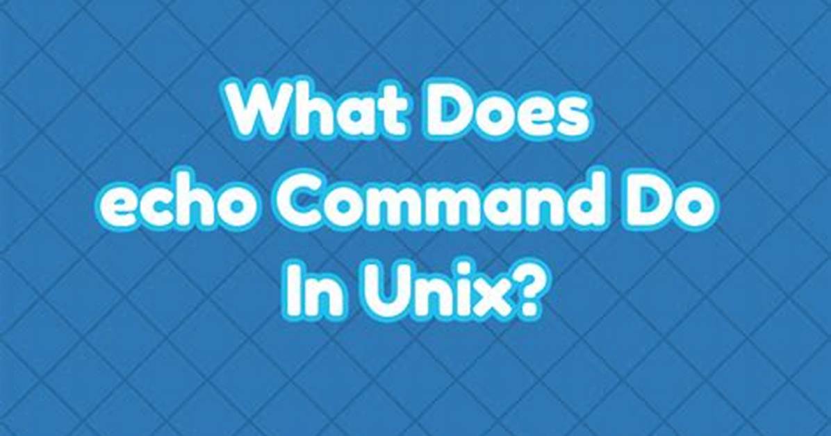 What Purpose Does the Unix Command Echo Server?
