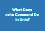 What Purpose Does the Unix Command Echo Server?