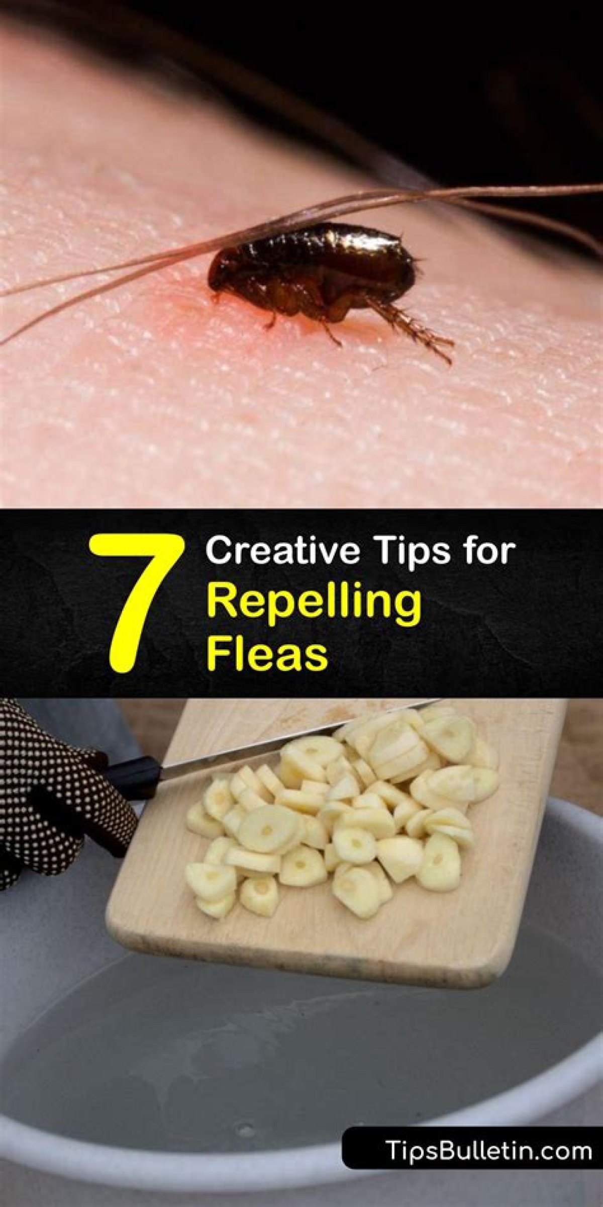 What Repel Fleas
