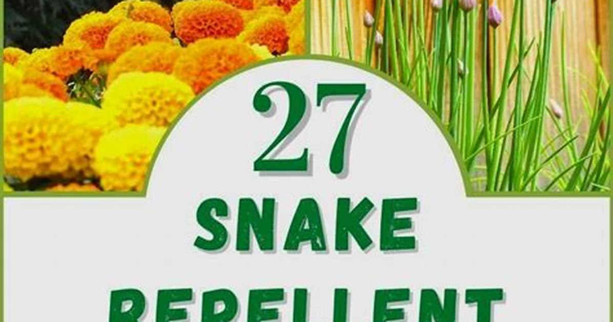 What Repels Snakes