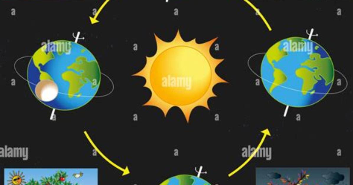 What Revolves Around the Sun?