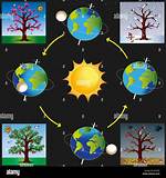 What Revolves Around the Sun?