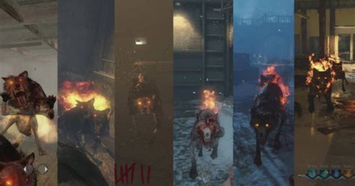 What Round Do Hellhounds Come