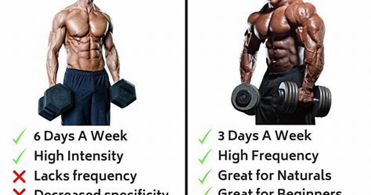 What's a Bro Split?