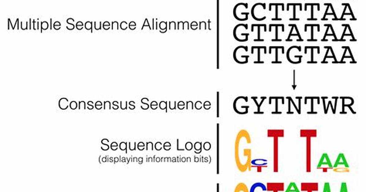 What's a Consensus Sequence?