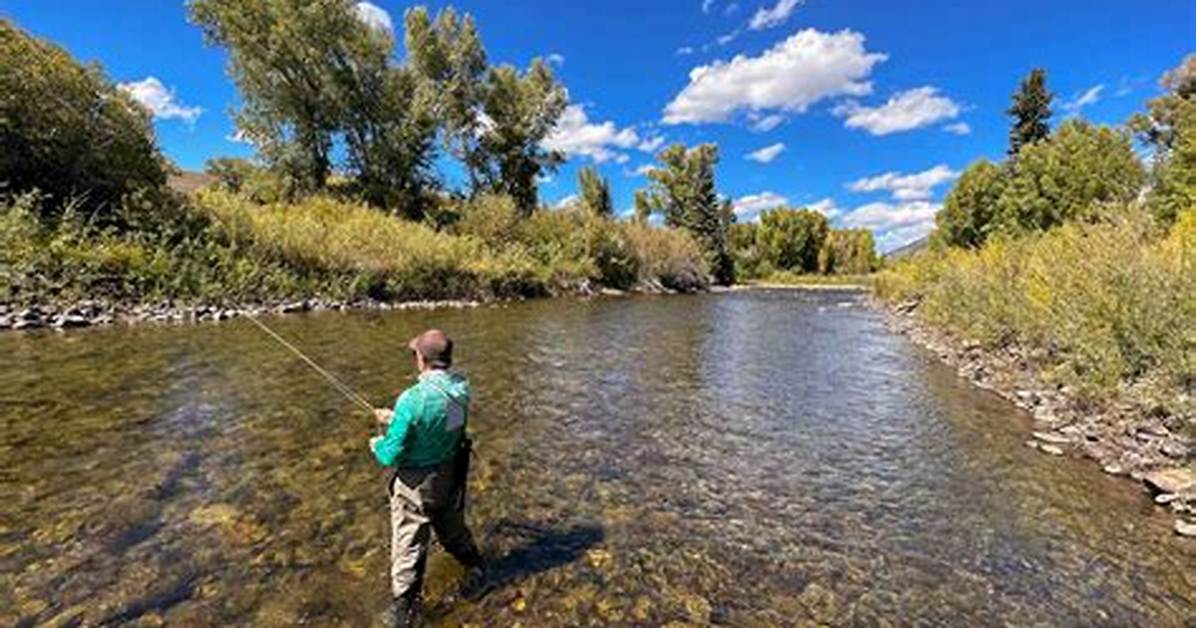 What's a Freestone River?