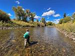 What's a Freestone River?