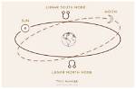 What's a South Node?
