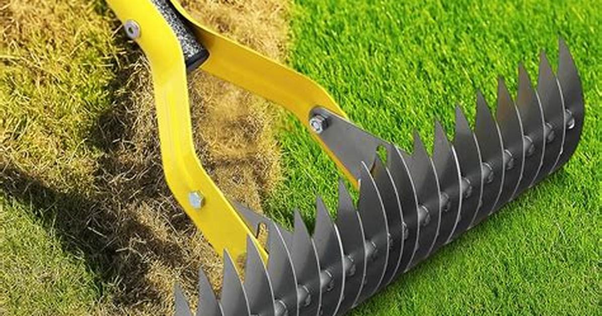 What's a Thatching Rake?