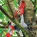 What's a Tree Lopper?