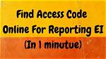 What's an Ei Access Code?