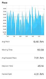 What's Average Elapsed Pace?