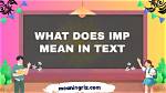 What's Does Imp Mean?