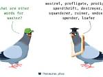 What's Does Waster Mean?
