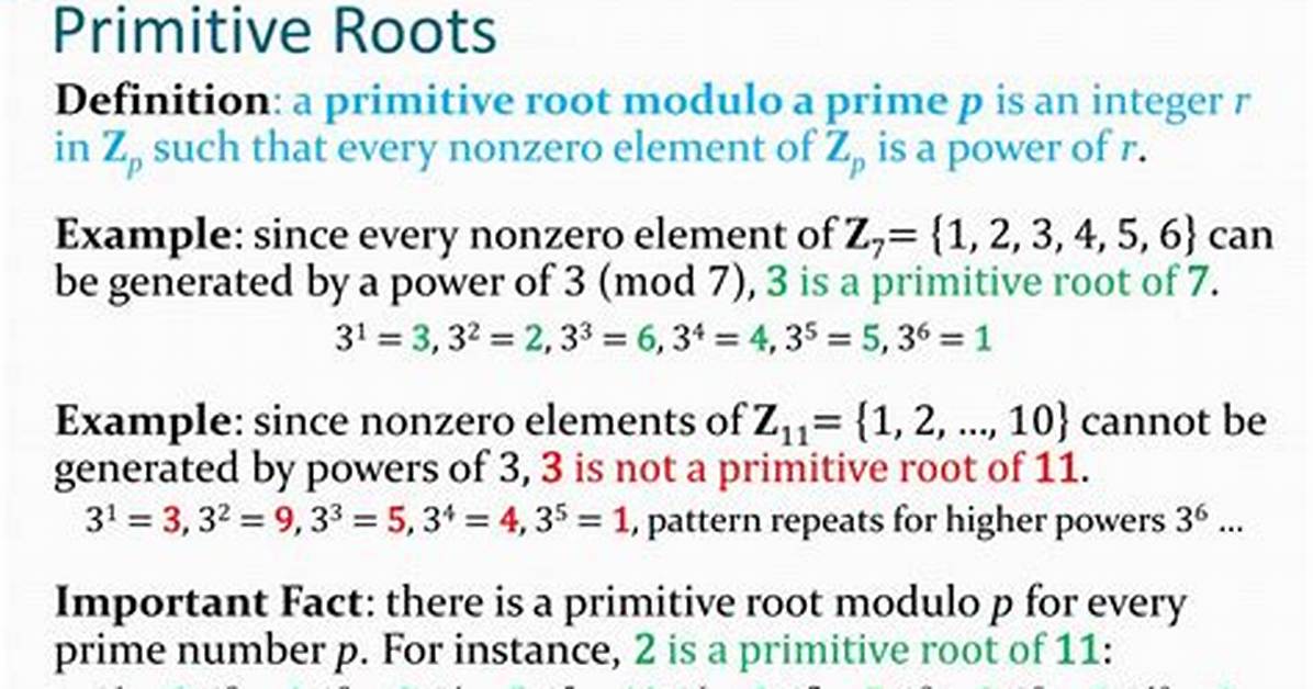 What's Primitive Root Modulo?