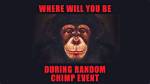What's Random Chimp Event?