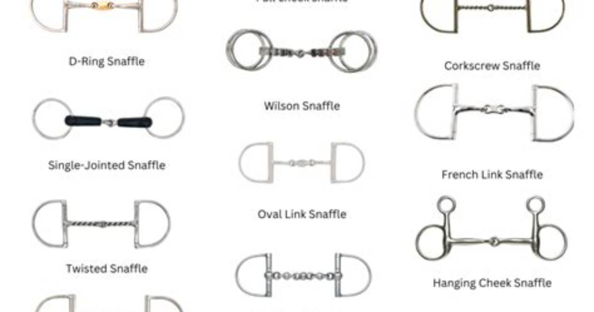 What's Snaffle Bit Mean?