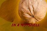 What's Something in a Nutshell?