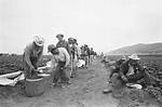 What's the Bracero Program?