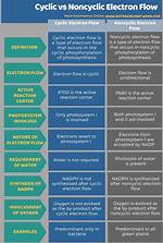 What's the Difference Between a Cyclic and Periodic Function?
