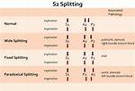 What’s the Difference Between a Splitting Axe and a Chopping Axe? Check This out | Splitting Axe vs Chopping Axe