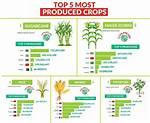 What's the Most Profitable Crop in Fs22?