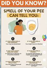What's Wrong When Urine Smells?