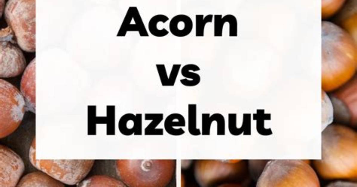 What's Wrong with Hazelnuts?