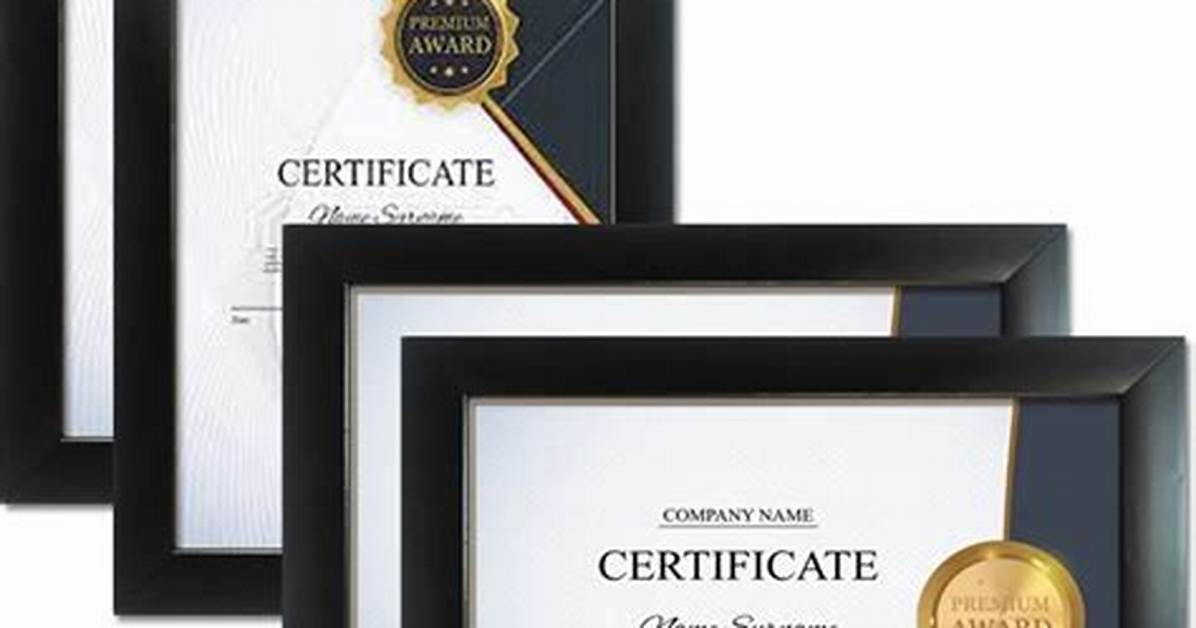 What Size Are Document Frames