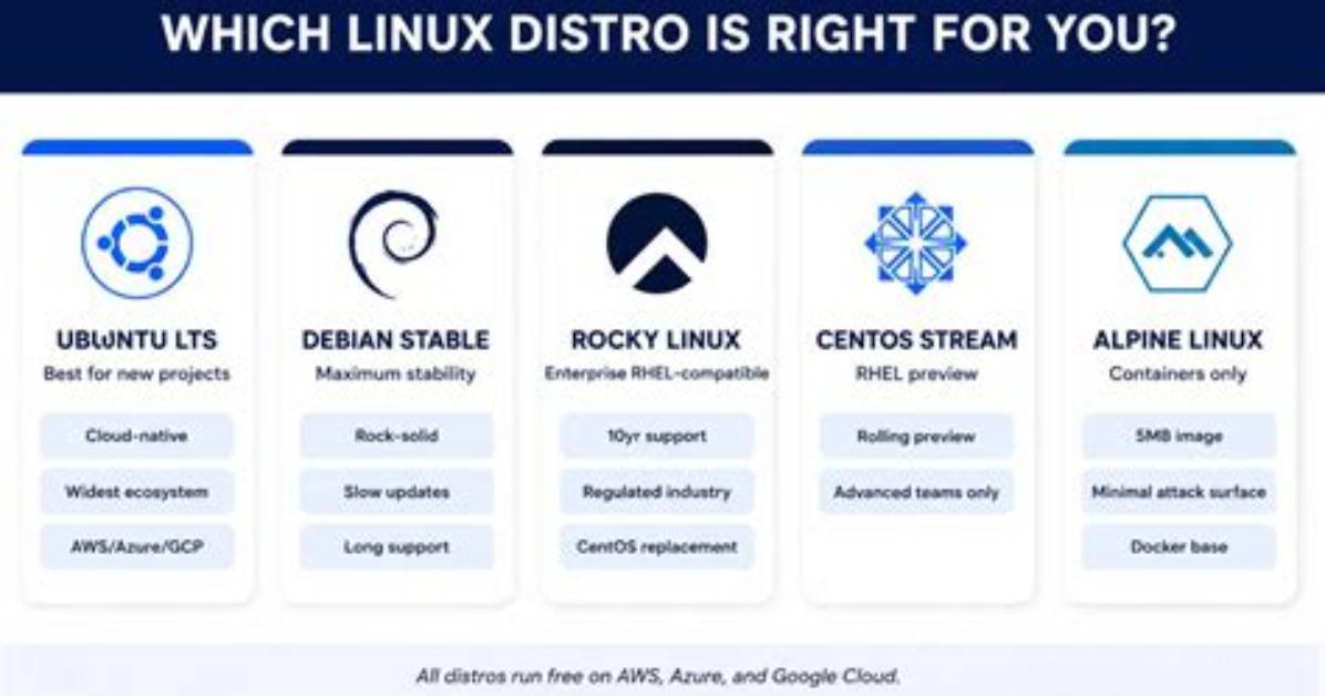What Software Runs on Linux?