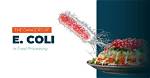 What Vegetable Kills E Coli