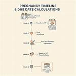 What When Is Due Date?