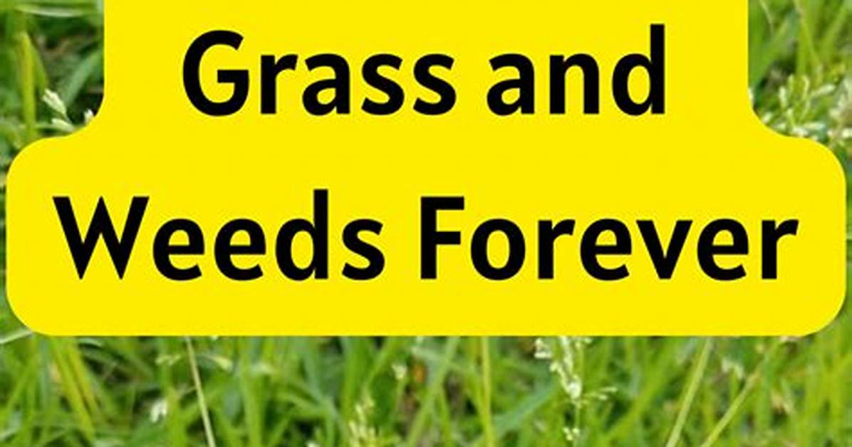 What Will Kill Grass